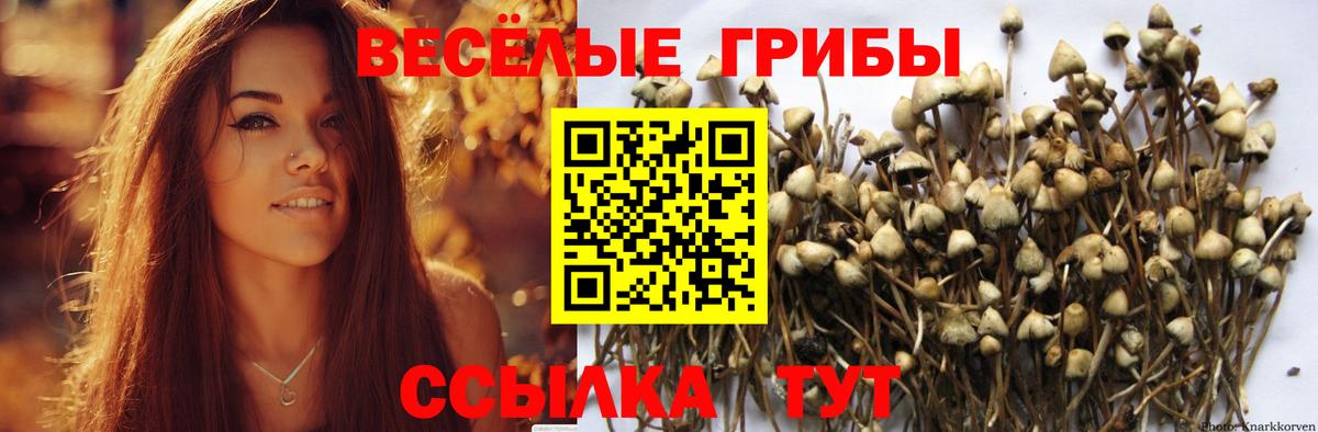 Галлюциногенные грибы ЛСД  Вход с VPN  Псилоцибиновые грибы мицелий  купить наркотики сайты  Скопин 
